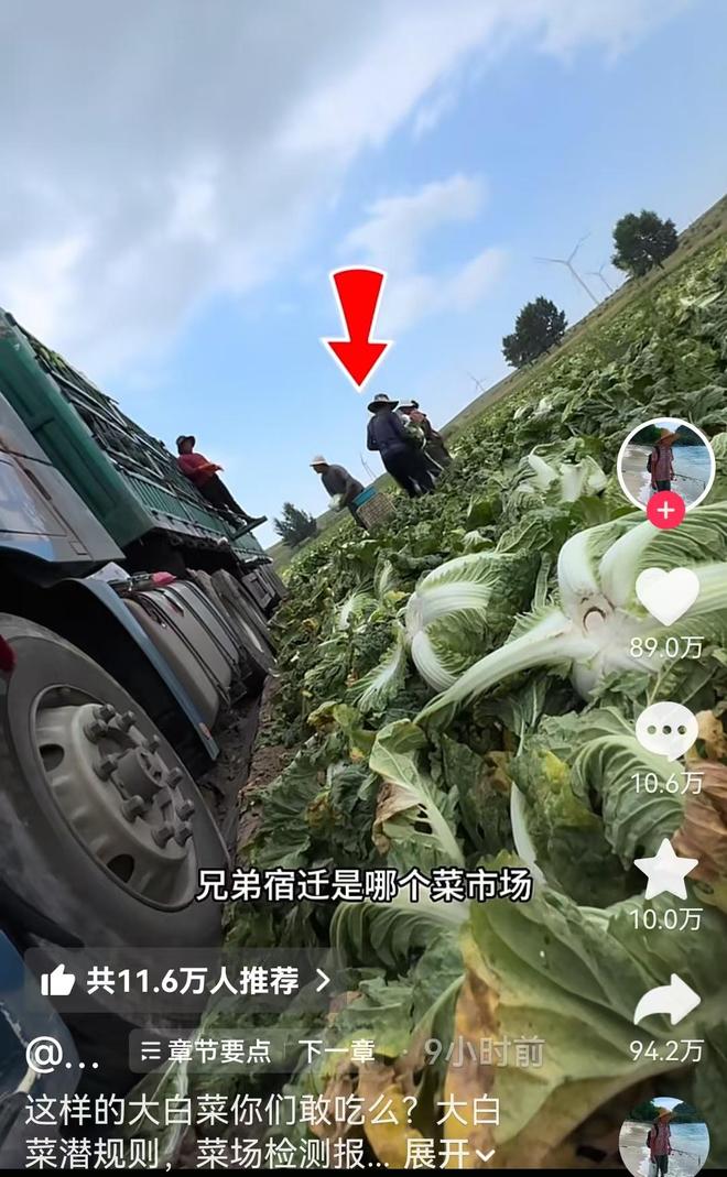 世界杯｜摩洛哥队主帅：赢得的尊重必须在场上体现